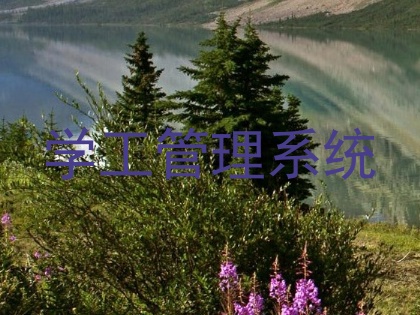 学工管理系统