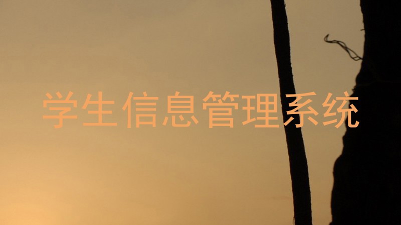学生信息管理系统