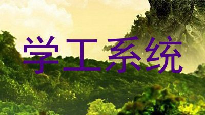 学工系统
