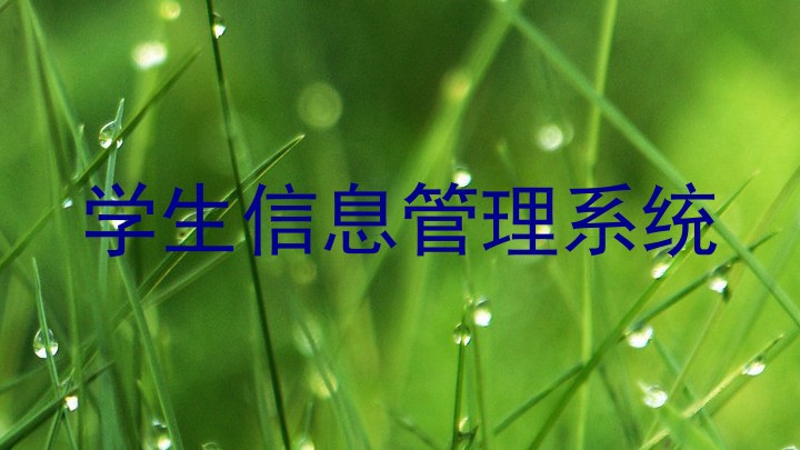 学生信息管理系统