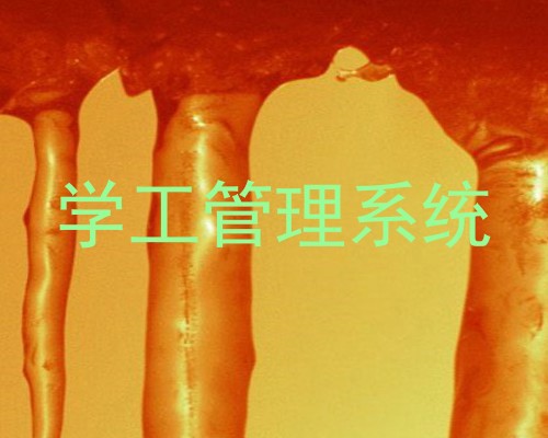 学工管理系统