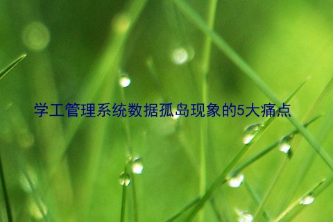 学工管理系统数据孤岛现象的5大痛点
