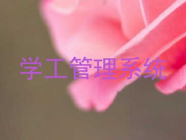 学工管理系统
