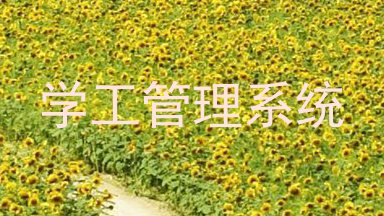 学工管理系统