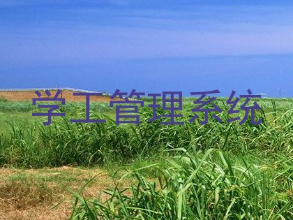 学工管理系统