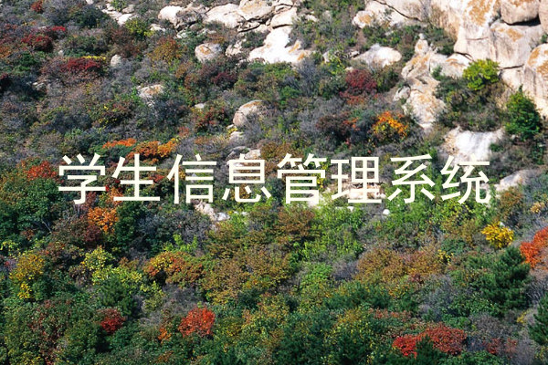 学生信息管理系统