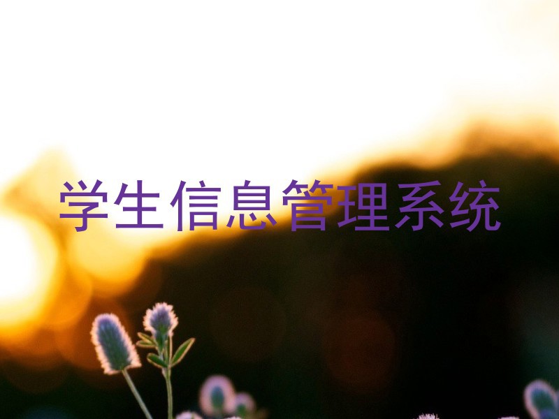 学生信息管理系统