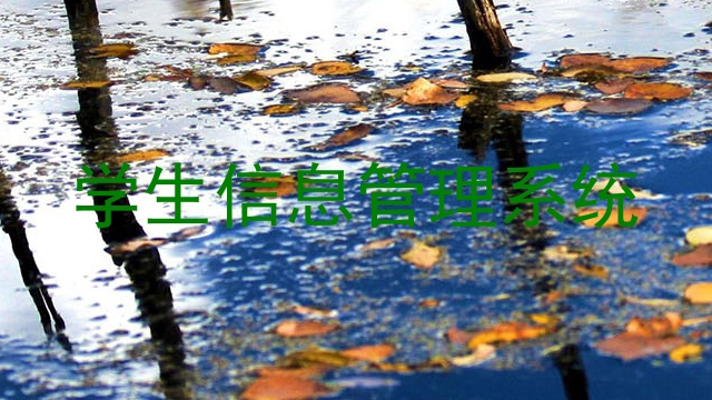 学生信息管理系统