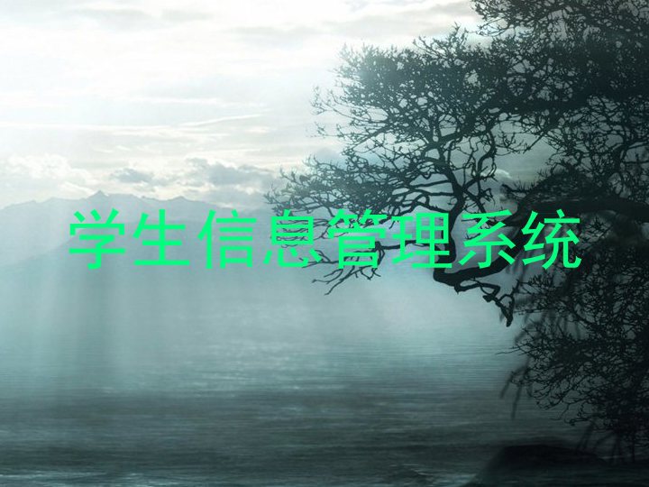 学生信息管理系统