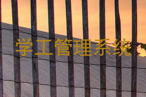 学工管理系统