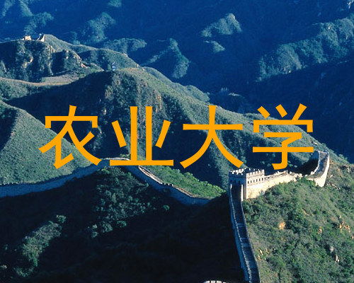 农业大学
