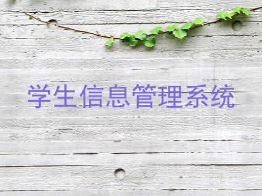 学生信息管理系统