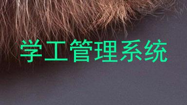 学工管理系统