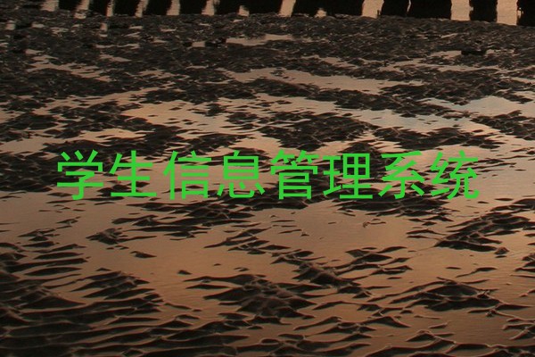 学生信息管理系统