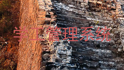 学工管理系统
