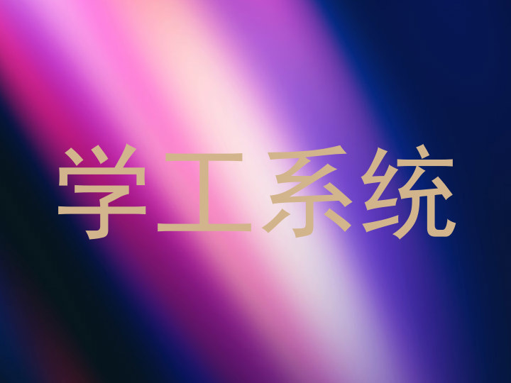 学工系统
