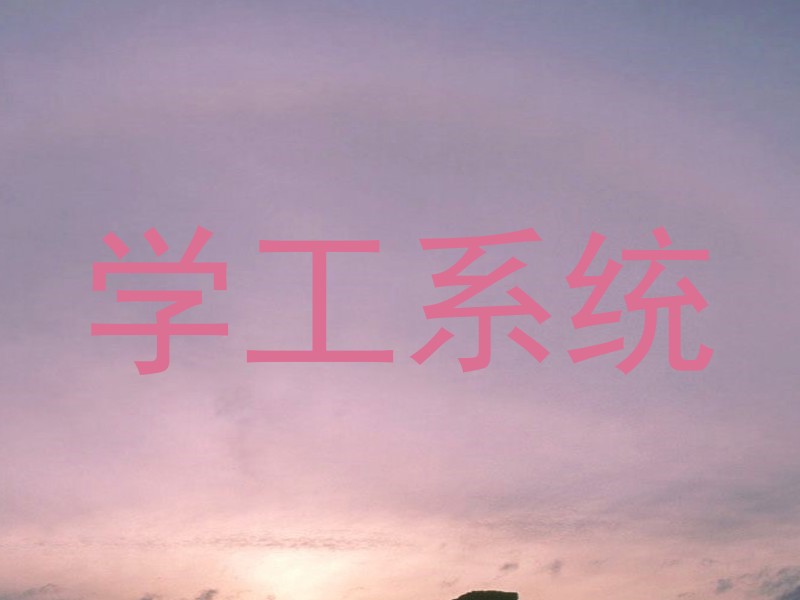 学工系统