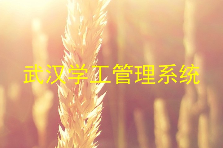 武汉学工管理系统