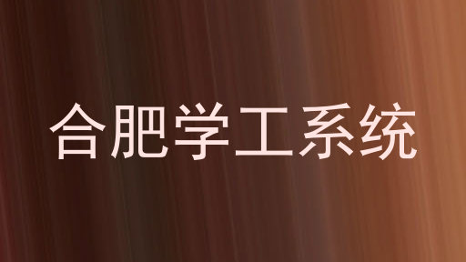 合肥学工系统
