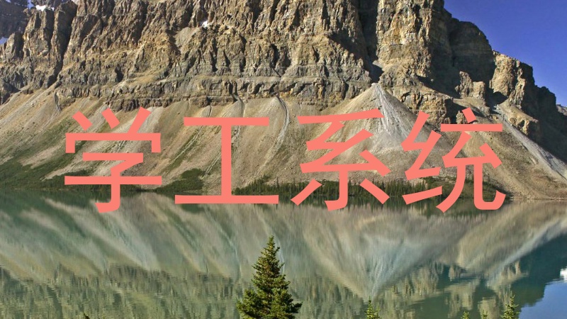 学工系统