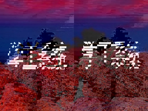 学工系统