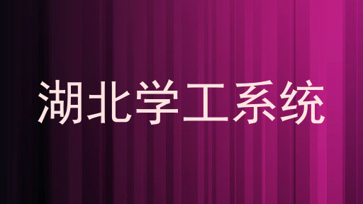 湖北学工系统