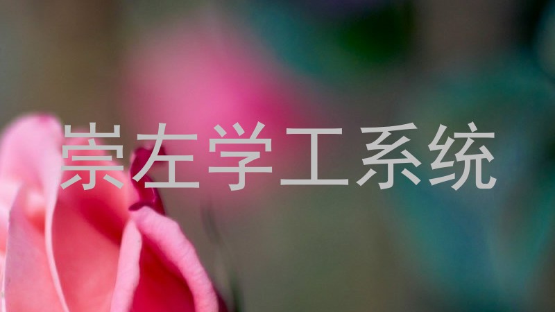 崇左学工系统