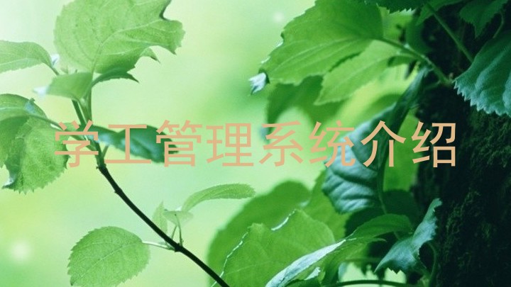 学工管理系统介绍
