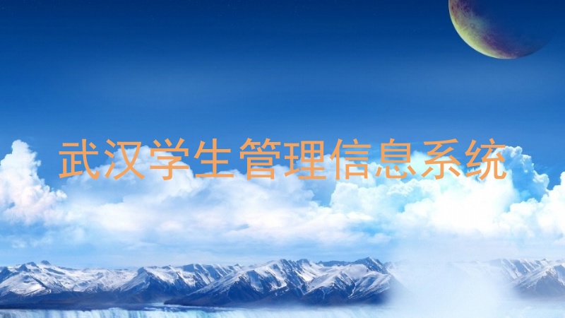 武汉学生管理信息系统