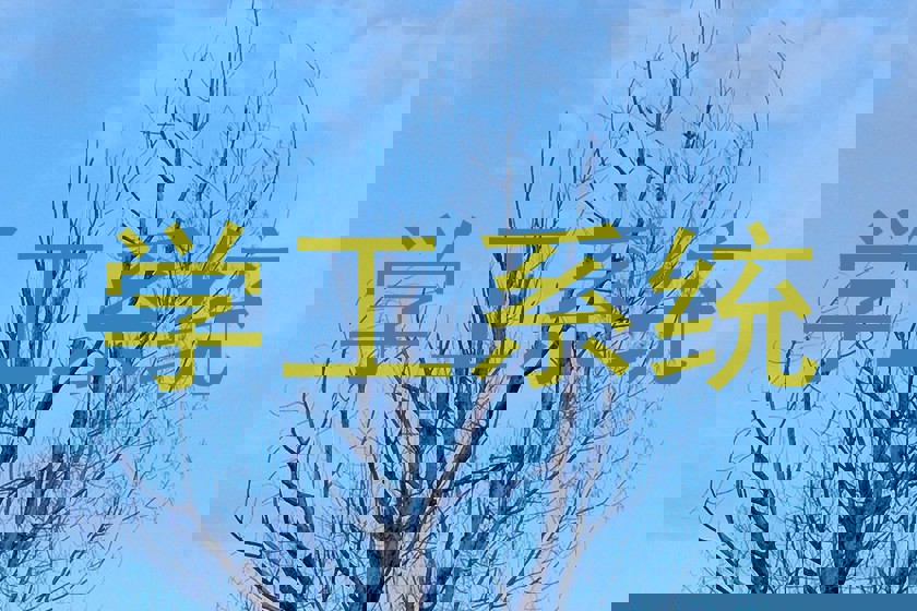 学工系统