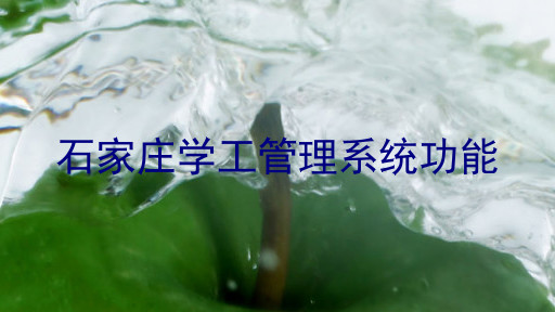 石家庄学工管理系统功能