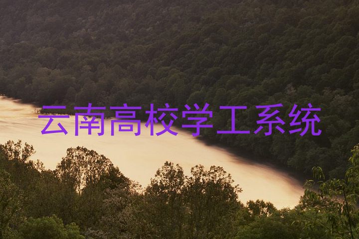 云南高校学工系统