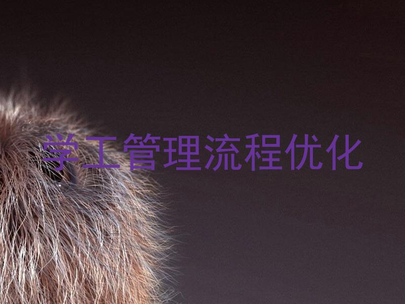 学工管理流程优化