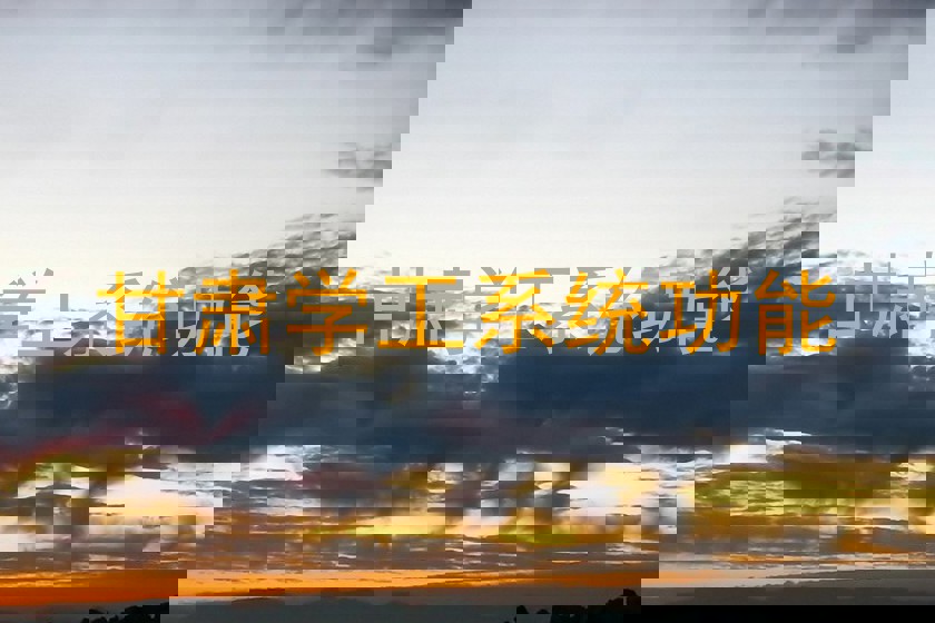 甘肃学工系统功能