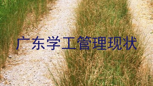 广东学工管理现状