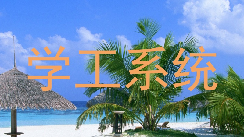 学工系统