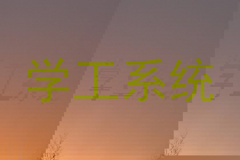 学工系统