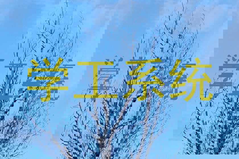 学工系统