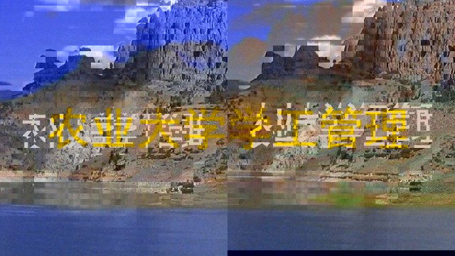 农业大学学工管理
