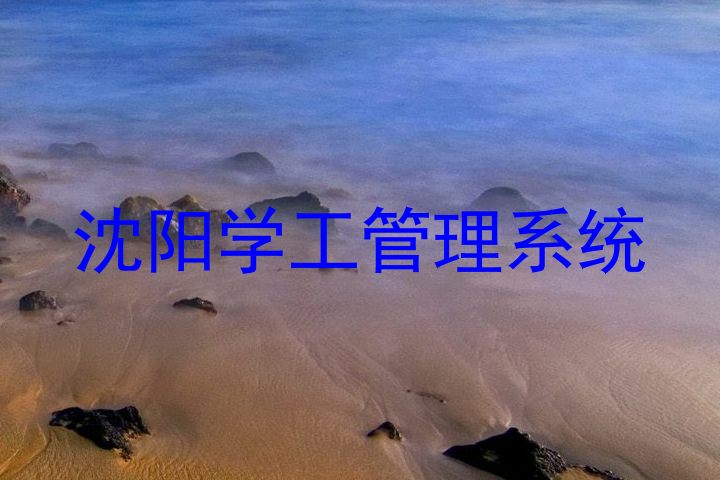 沈阳学工管理系统