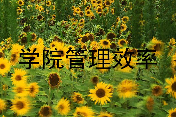 学院管理效率