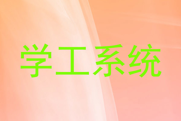 学工系统