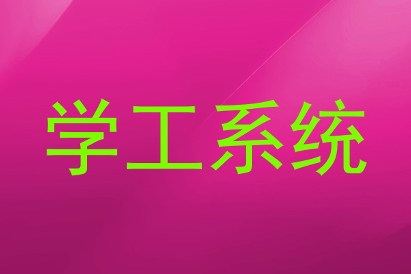 学工系统