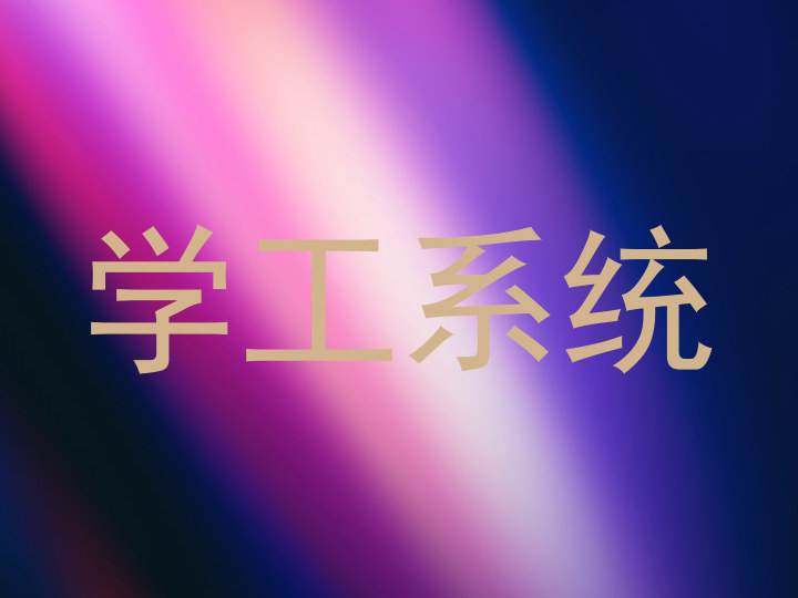学工系统