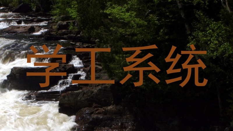 学工系统