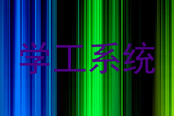 学工系统