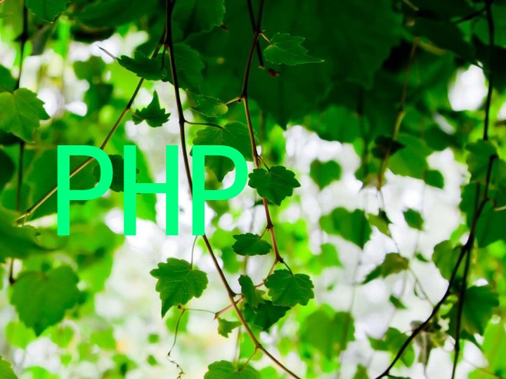 PHP