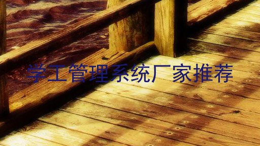 学工管理系统厂家推荐