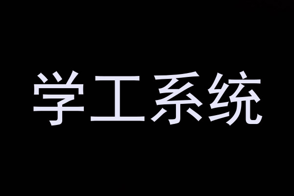 学工系统