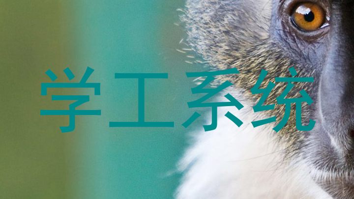 学工系统